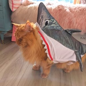 🏈Way to Celebrate EUC dog cat Halloween Shark costume Large silver white red